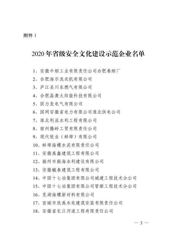 公司榮獲“省級安全文化建設(shè)示范企業(yè)”稱號(圖3)